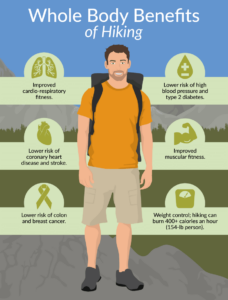 Infographic titled Whole Body Benefits of Hiking 